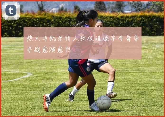 热火与凯尔特人积极追逐字母哥争夺战愈演愈烈