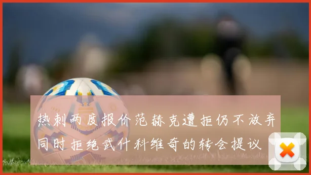 热刺两度报价范赫克遭拒仍不放弃同时拒绝武什科维奇的转会提议