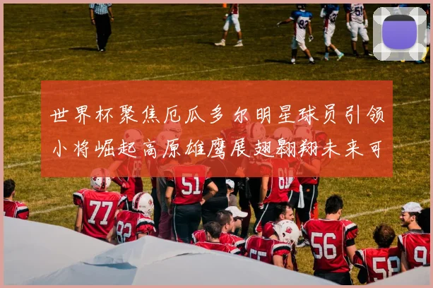 世界杯聚焦厄瓜多尔明星球员引领小将崛起高原雄鹰展翅翱翔未来可期