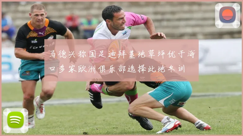 马德兴称国足迪拜基地草坪优于海口多家欧洲俱乐部选择此地冬训